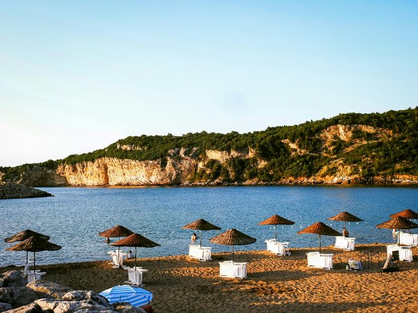 What Are the Latest Genetic Research Breakthroughs in Combating Heart Disease?